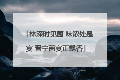 林深时见菌 味浓处是宴 晋宁菌宴正飘香