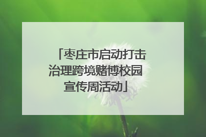 枣庄市启动打击治理跨境赌博校园宣传周活动
