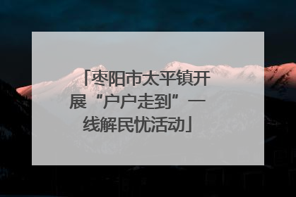 枣阳市太平镇开展“户户走到”一线解民忧活动