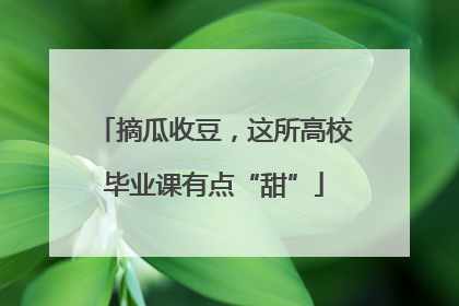 摘瓜收豆，这所高校毕业课有点“甜”