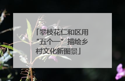 攀枝花仁和区用“五个一”描绘乡村文化新图景