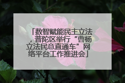 数智赋能民主立法，普陀区举行“曹杨立法民意直通车”网络平台工作推进会