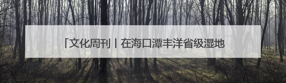 文化周刊丨在海口潭丰洋省级湿地公园打卡夏日里的“湿”情画意