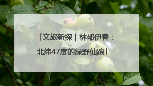 文旅新探｜林都伊春：北纬47度的绿野仙踪