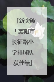 新突破！襄阳市长征路小学排球队获佳绩