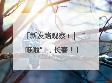 新发路观察+｜“哦啦”，长春！