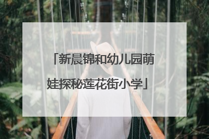 新晨锦和幼儿园萌娃探秘莲花街小学