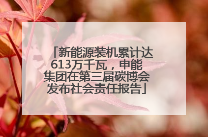 新能源装机累计达613万千瓦，申能集团在第三届碳博会发布社会责任报告