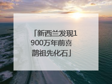 新西兰发现1900万年前喜鹊祖先化石