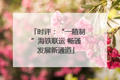时评：“一箱制”海铁联运 畅通发展新通道