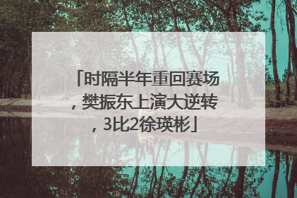 时隔半年重回赛场，樊振东上演大逆转，3比2徐瑛彬