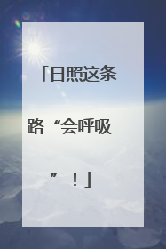 日照这条路“会呼吸”！