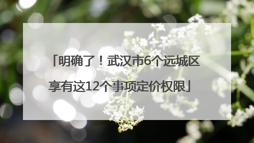 明确了！武汉市6个远城区享有这12个事项定价权限