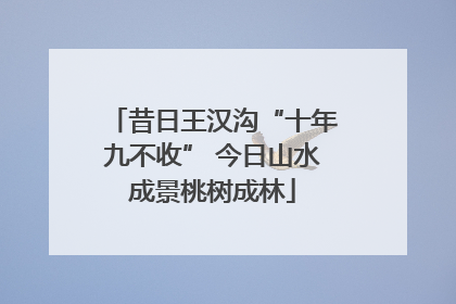昔日王汉沟“十年九不收” 今日山水成景桃树成林