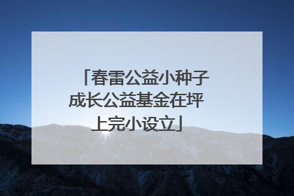 春雷公益小种子成长公益基金在坪上完小设立