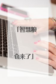智慧粮仓来了