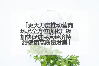 更大力度推动营商环境全方位优化升级加快促进民营经济持续健康高质量发展