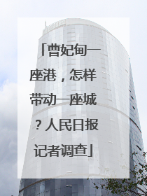 曹妃甸一座港，怎样带动一座城？人民日报记者调查