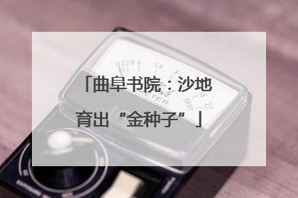 曲阜书院：沙地育出“金种子”
