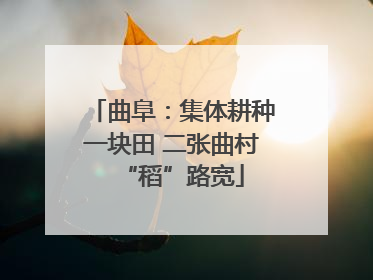曲阜：集体耕种一块田 二张曲村“稻”路宽