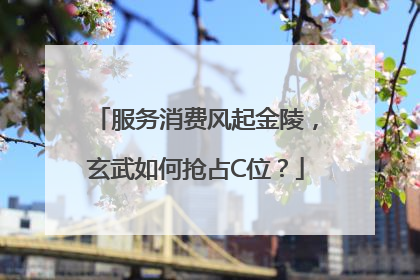 服务消费风起金陵，玄武如何抢占C位？