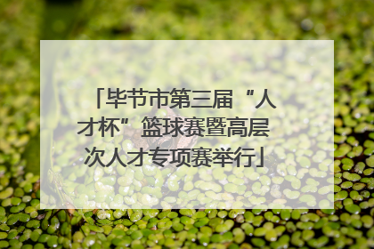 毕节市第三届“人才杯”篮球赛暨高层次人才专项赛举行