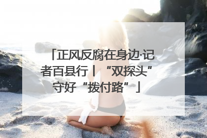正风反腐在身边·记者百县行丨“双探头”守好“拨付路”