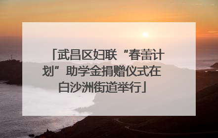 武昌区妇联“春蕾计划”助学金捐赠仪式在白沙洲街道举行