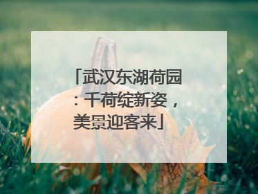 武汉东湖荷园：千荷绽新姿，美景迎客来