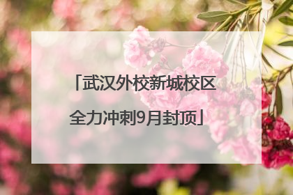 武汉外校新城校区全力冲刺9月封顶
