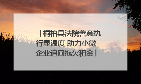 桐柏县法院善意执行显温度 助力小微企业追回拖欠租金