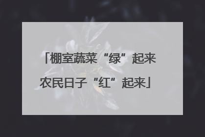 棚室蔬菜“绿”起来 农民日子“红”起来