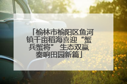 榆林市榆阳区鱼河镇千亩稻海喜迎“蟹兵蟹将” 生态双赢奏响田园新篇
