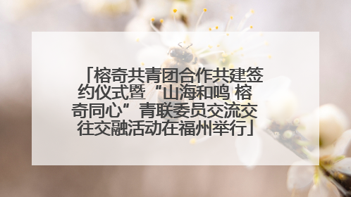 榕奇共青团合作共建签约仪式暨“山海和鸣 榕奇同心”青联委员交流交往交融活动在福州举行