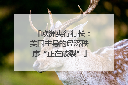 欧洲央行行长：美国主导的经济秩序“正在破裂”