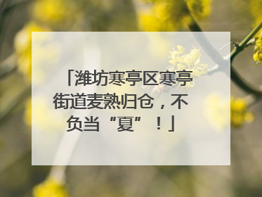 潍坊寒亭区寒亭街道麦熟归仓，不负当“夏”！