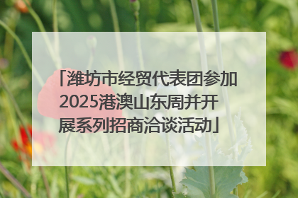 潍坊市经贸代表团参加2025港澳山东周并开展系列招商洽谈活动