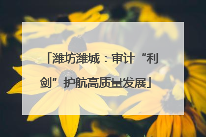 潍坊潍城：审计“利剑”护航高质量发展