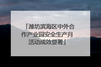 潍坊滨海区中外合作产业园安全生产月活动成效显著