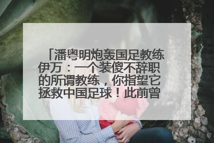 潘粤明炮轰国足教练伊万：一个装傻不辞职的所谓教练，你指望它拯救中国足球！此前曾多次发文评价国足