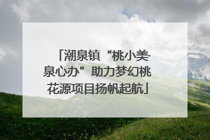 潮泉镇“桃小美·泉心办”助力梦幻桃花源项目扬帆起航