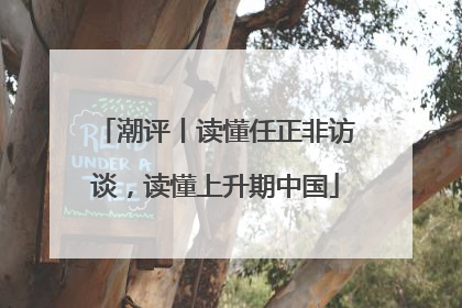 潮评丨读懂任正非访谈，读懂上升期中国