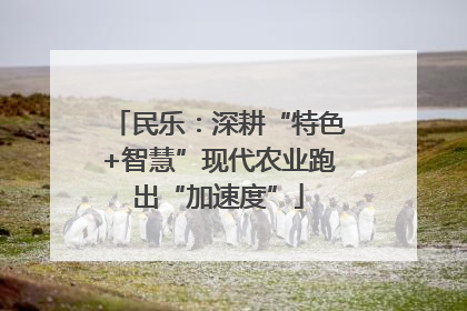 民乐：深耕“特色+智慧”现代农业跑出“加速度”