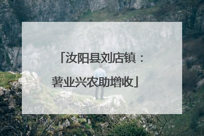 汝阳县刘店镇：薯业兴农助增收