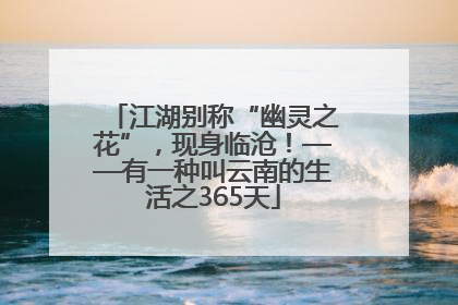 江湖别称“幽灵之花”，现身临沧！——有一种叫云南的生活之365天