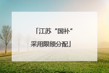 江苏“国补”采用限额分配