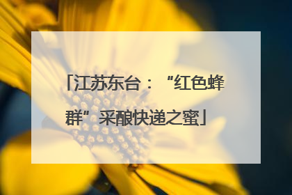 江苏东台：“红色蜂群”采酿快递之蜜