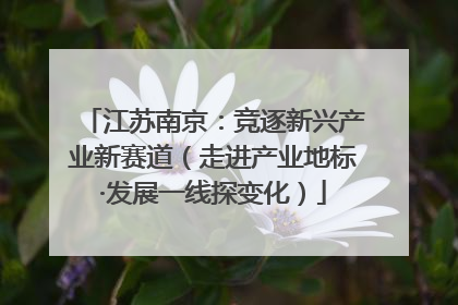 江苏南京：竞逐新兴产业新赛道（走进产业地标·发展一线探变化）