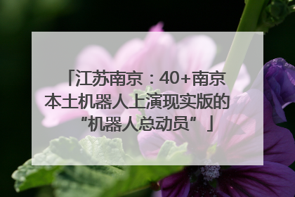 江苏南京：40+南京本土机器人上演现实版的“机器人总动员”