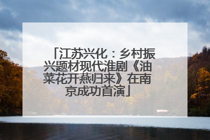江苏兴化：乡村振兴题材现代淮剧《油菜花开燕归来》在南京成功首演